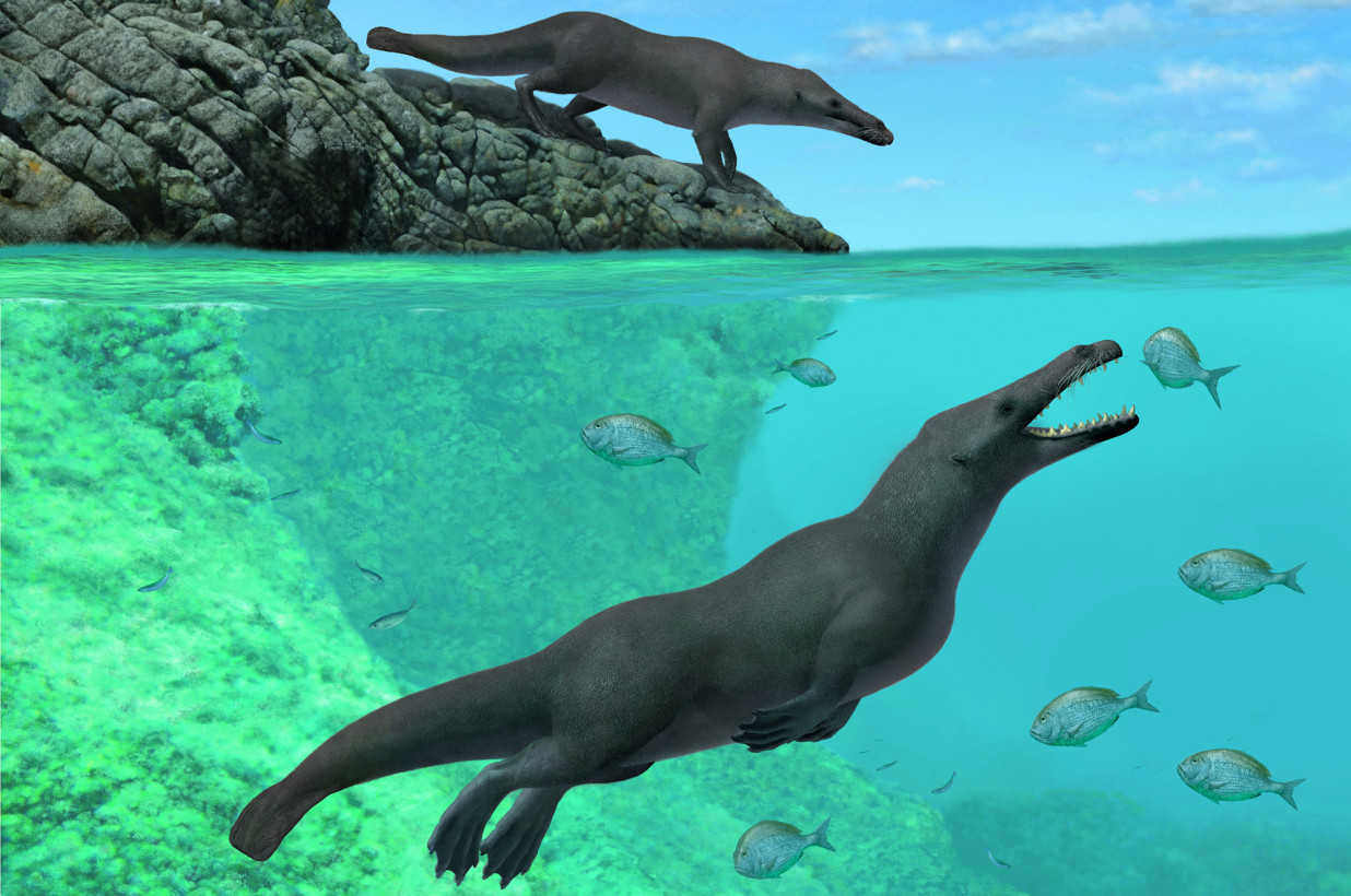 Ancient Whale