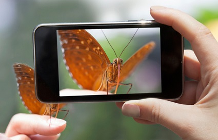 Cellphone Camera