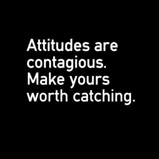 Attitudes quote