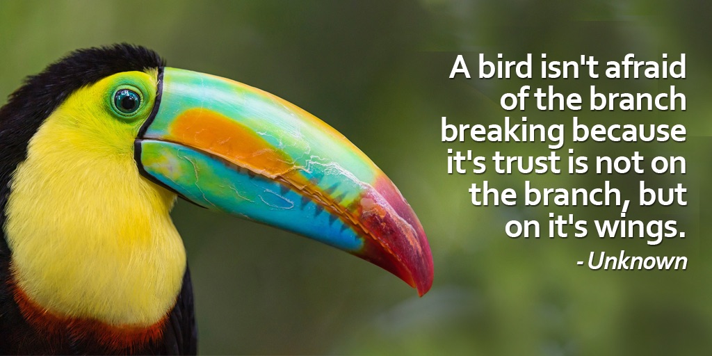 Bird quote